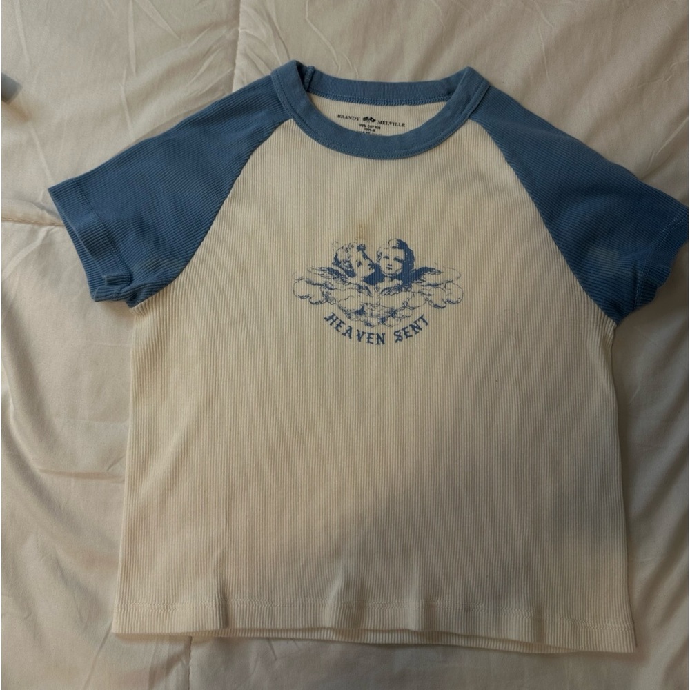Brandy Melville Crop Top